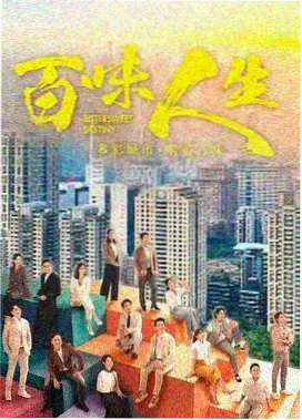 雾港档案 全10集犯罪剧集种子封面
